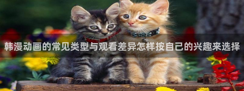 香蕉成熟时迅雷：韩漫动画的常见类型与观看差异怎样按自己的兴趣来选择配图