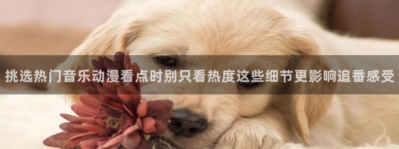 记得香蕉成熟时3粤语：挑选热门音乐动漫看点时别只看热度这些细节更影响追番感受配图