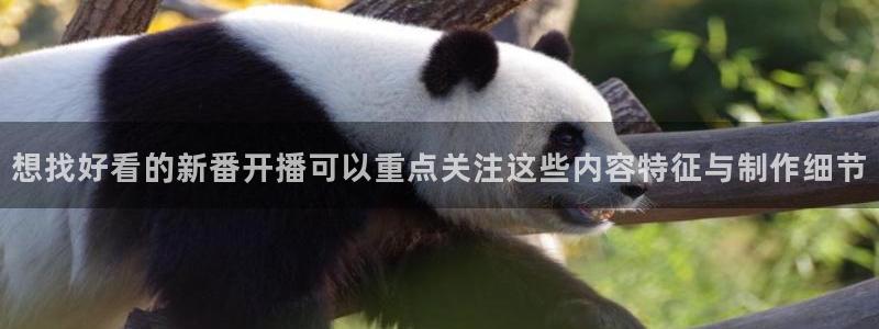 香蕉成熟时的柏安妮：想找好看的新番开播可以重点关注这些内容特征与制作细节配图