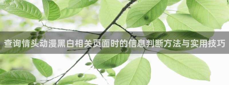 记得香蕉成熟时3BT：查询情头动漫黑白相关页面时的信息判断方法与实用技巧配图