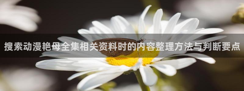 记得香蕉成熟时 电影：搜索动漫艳母全集相关资料时的内容整理方法与判断要点配图