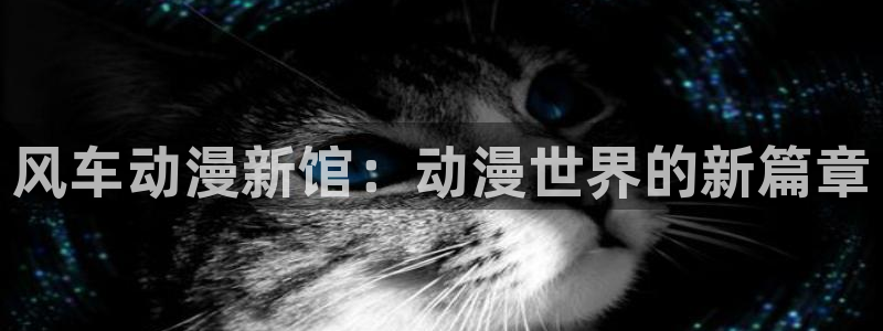 记得香蕉成熟时3迅雷:风车动漫新馆:动漫世界的新篇章配图