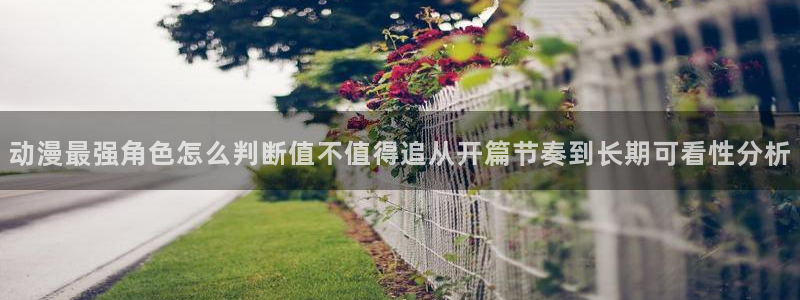 当香蕉成熟时:动漫最强角色怎么判断值不值得追从开篇节奏到长期可看性分析配图