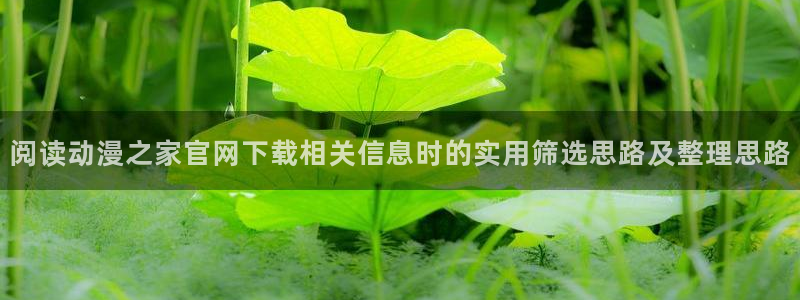 当香蕉成熟时插曲:阅读动漫之家官网下载相关信息时的实用筛选思路及整理思路配图
